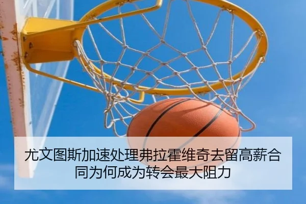 尤文图斯加速处理弗拉霍维奇去留高薪合同为何成为转会最大阻力