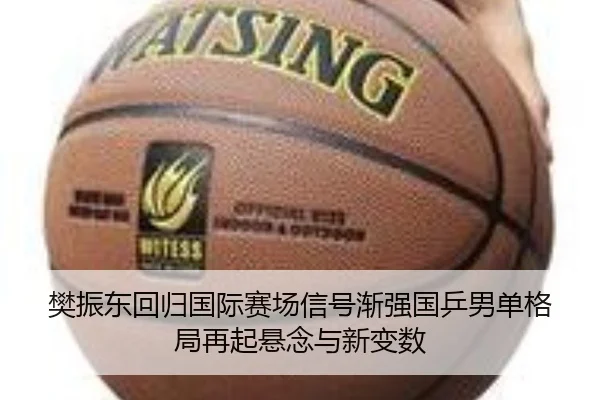樊振东回归国际赛场信号渐强国乒男单格局再起悬念与新变数