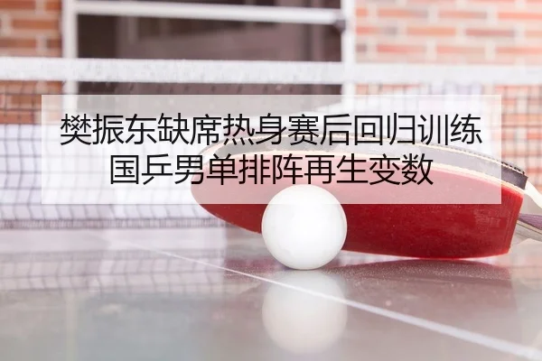 樊振东缺席热身赛后回归训练 国乒男单排阵再生变数